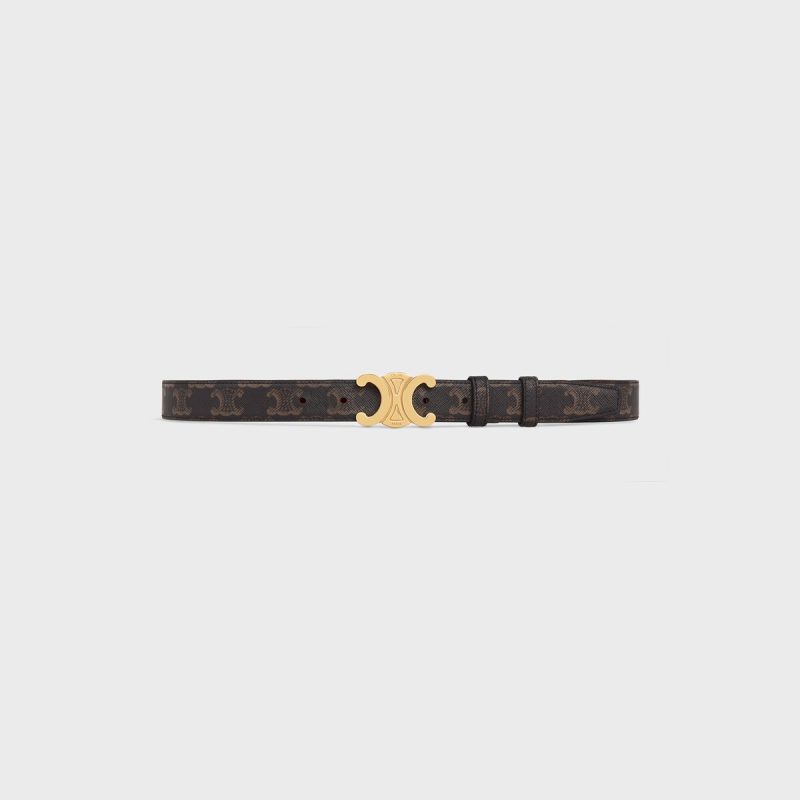 Medium Triomphe Belt in Triomphe Canvas - Image 2
