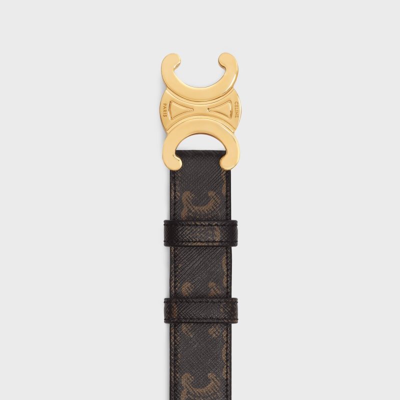 Medium Triomphe Belt in Triomphe Canvas - Image 3
