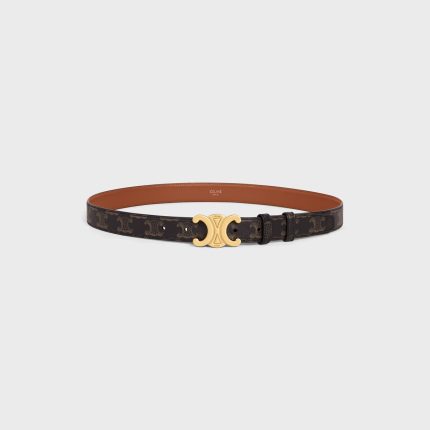 Medium Triomphe Belt in Triomphe Canvas