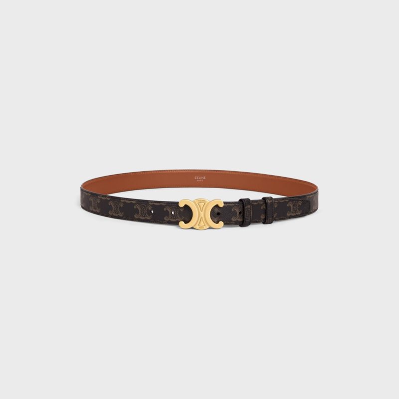 Medium Triomphe Belt in Triomphe Canvas