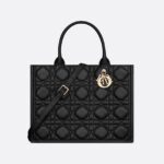 Dior Medium Dior Book Tote HandBags