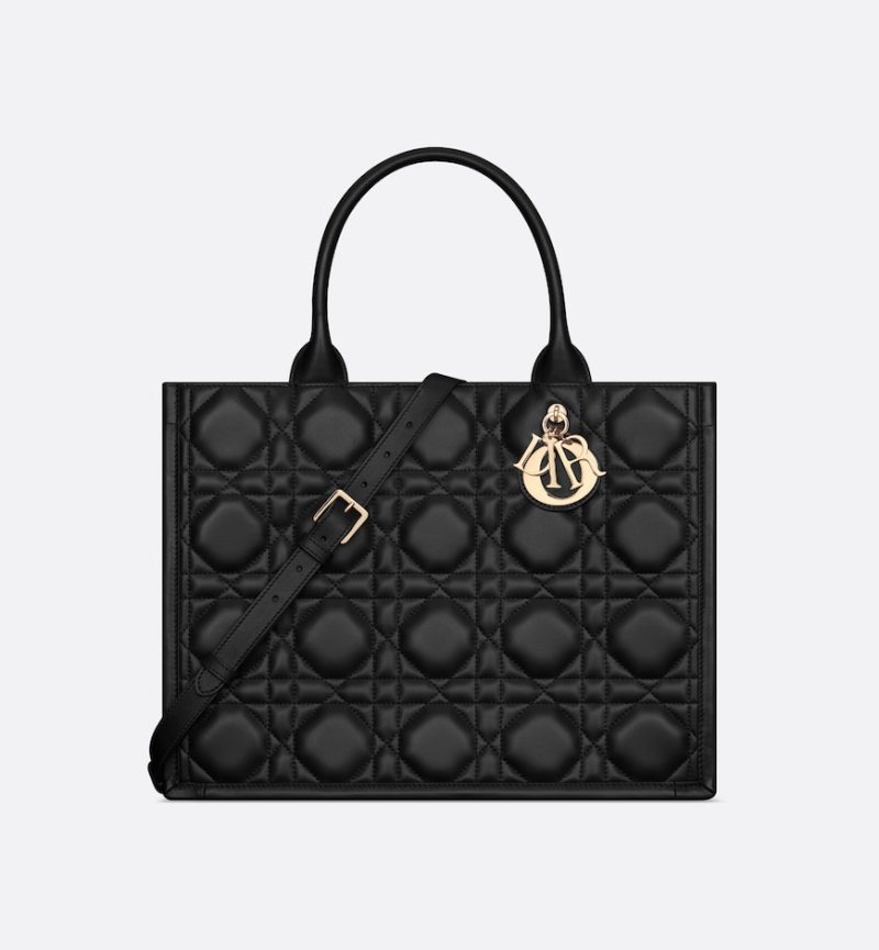 Dior Medium Dior Book Tote HandBags