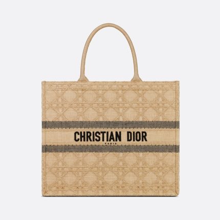 Dior Large Dior Book Tote 42 CM