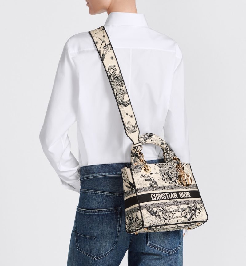 Dior Medium Lady D-Lite Bag - Image 4