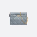 Dior Caro Every Dior Pouch