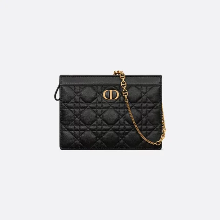 Dior Caro Every Dior Pouch