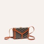 Goyard Minaudiere Trunk Bag Black and Brown