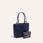 Goyard Anjou Mini Bag Navy Blue