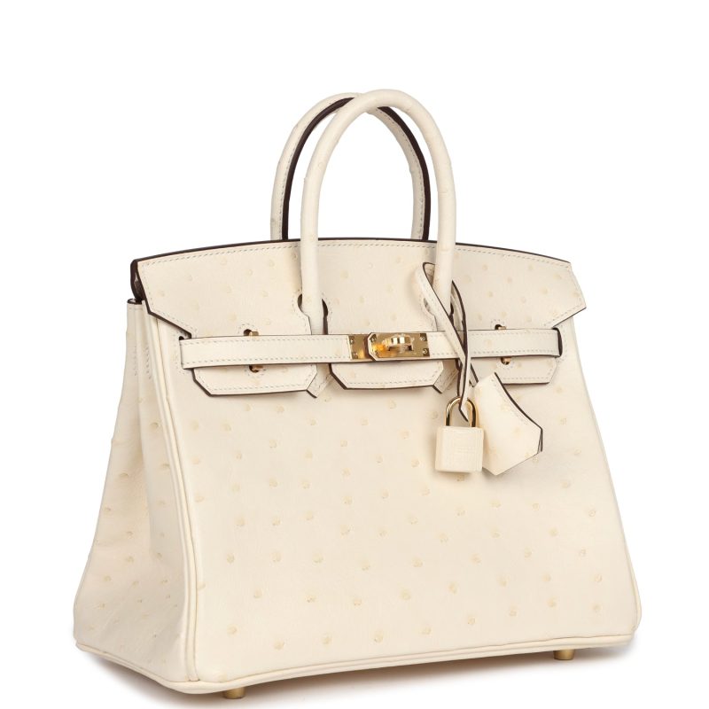 Hermes Birkin 25 Nata Ostrich Gold Hardware - Image 2