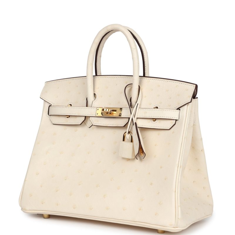 Hermes Birkin 25 Nata Ostrich Gold Hardware - Image 3