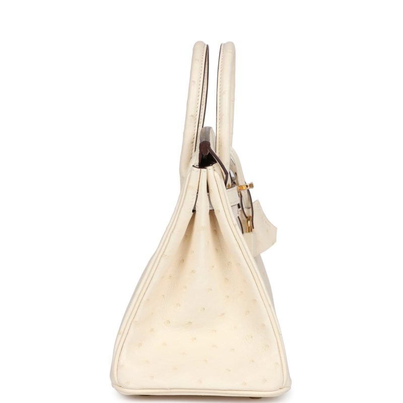 Hermes Birkin 25 Nata Ostrich Gold Hardware - Image 4