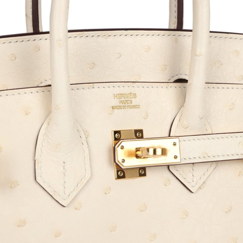 Hermes Birkin 25 Nata Ostrich Gold Hardware - Image 7