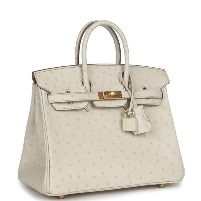 Hermes Birkin 25 Beton Ostrich Gold Hardware - Image 2