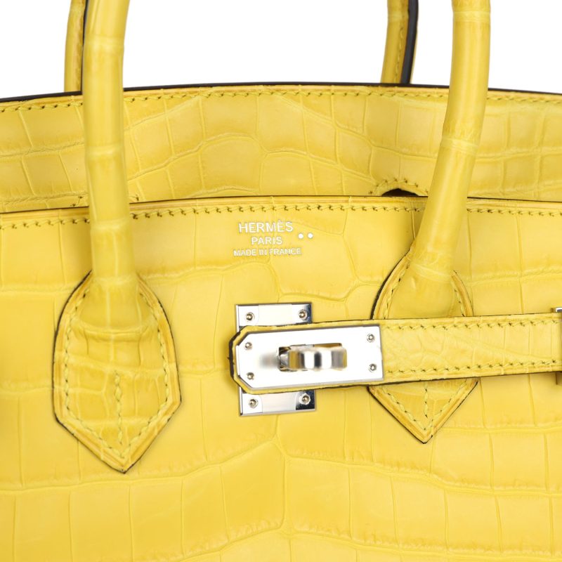 Hermes Birkin 25 Mimosa Matte Niloticus Crocodile Palladium Hardware - Image 6