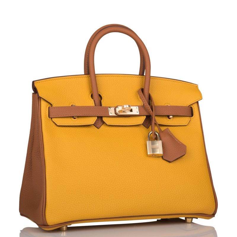 Hermes Special Order (HSS) Birkin 25 Jaune Ambre and Gold Togo Permabrass Hardware - Image 2