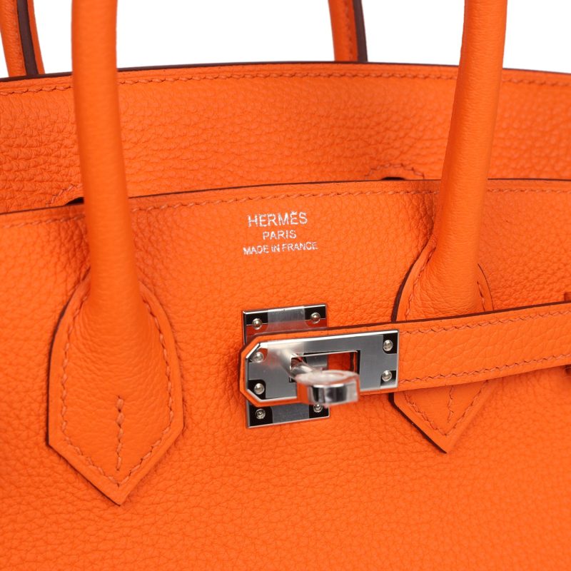 Hermes Birkin 25 Orange Minium Togo Palladium Hardware - Image 6