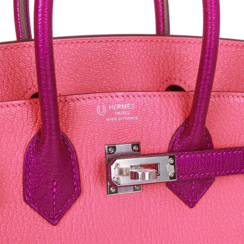 Hermes Special Order (HSS) Birkin 25 Rose Lipstick and Anemone Chevre Palladium Hardware - Image 6