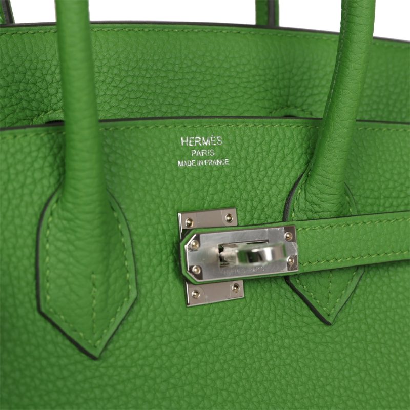 Hermes Birkin 25 Vert Yucca Togo Palladium Hardware - Image 6