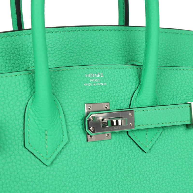 Hermes Birkin 25 Vert Comics Togo Palladium Hardware - Image 6