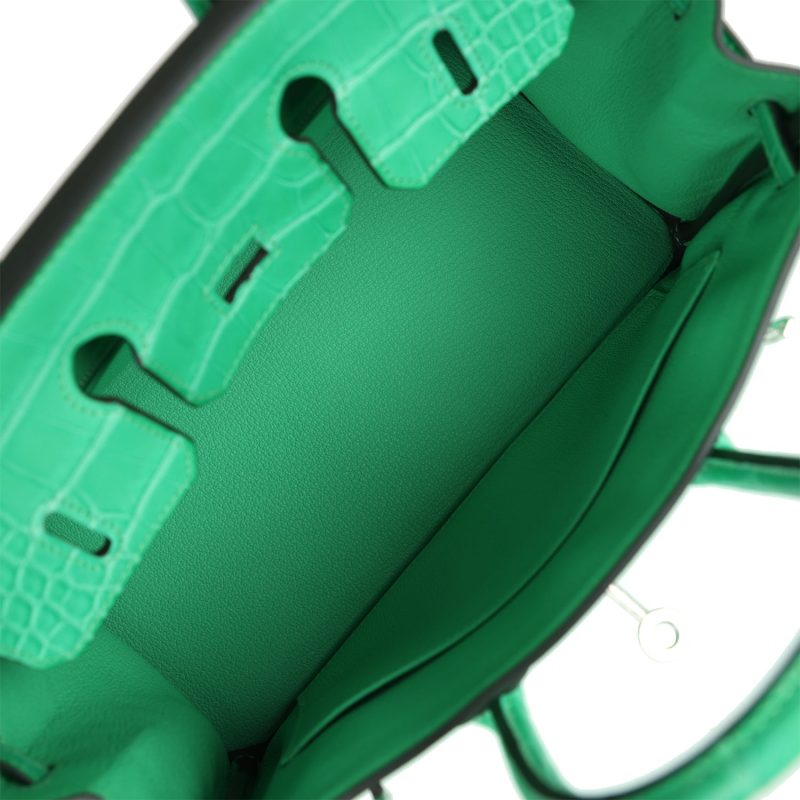 Hermes Birkin 25 Vert Comics Togo and Matte Alligator Touch Palladium Hardware - Image 7