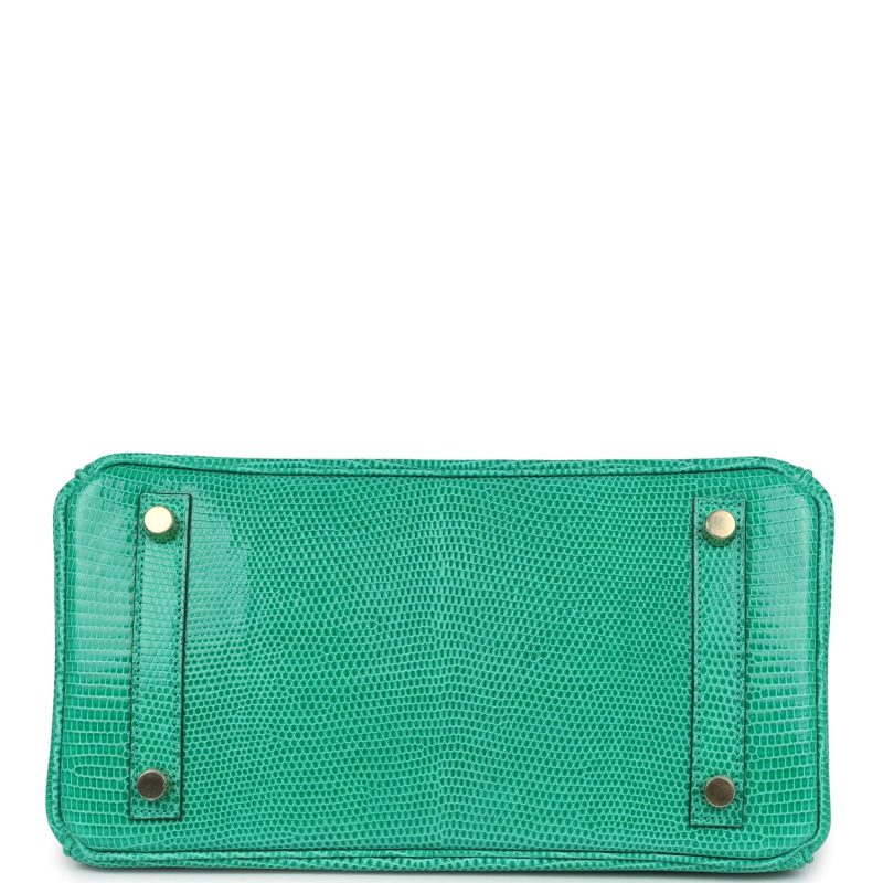 Hermes Birkin 25 Menthe Varanus Niloticus Lizard Gold Hardware - Image 5