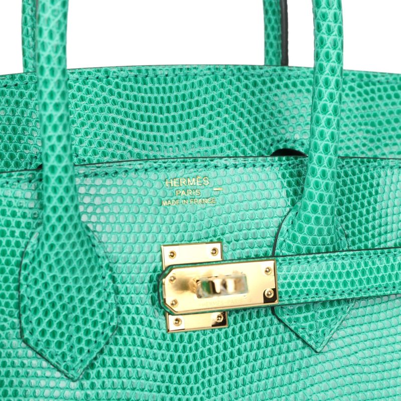 Hermes Birkin 25 Menthe Varanus Niloticus Lizard Gold Hardware - Image 6