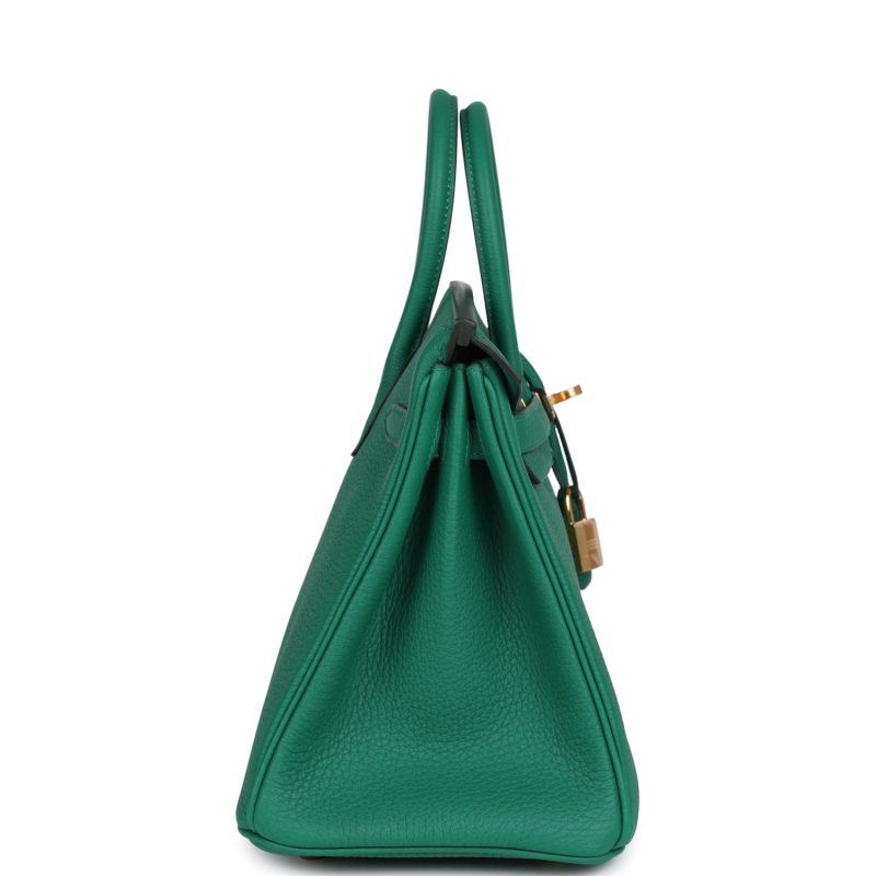 Hermes Birkin 25 Vert Vertigo Togo Gold Hardware - Image 3