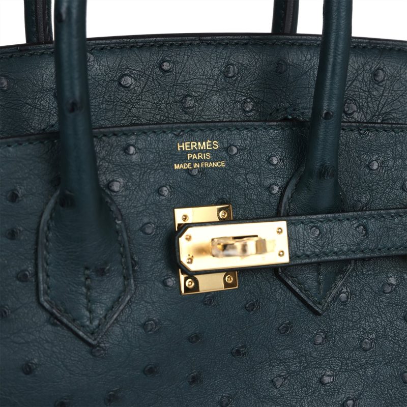 Hermes Birkin 25 Vert Cypres Ostrich Gold Hardware - Image 6