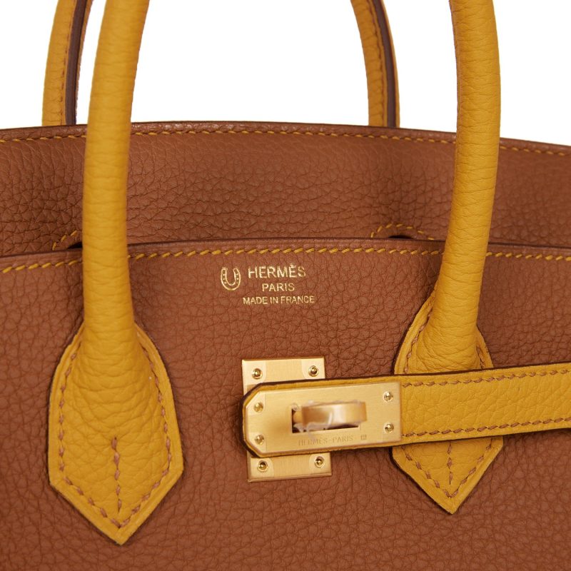 Hermes Special Order (HSS) Birkin 25 Gold and Jaune Ambre Togo Brushed Gold Hardware - Image 6