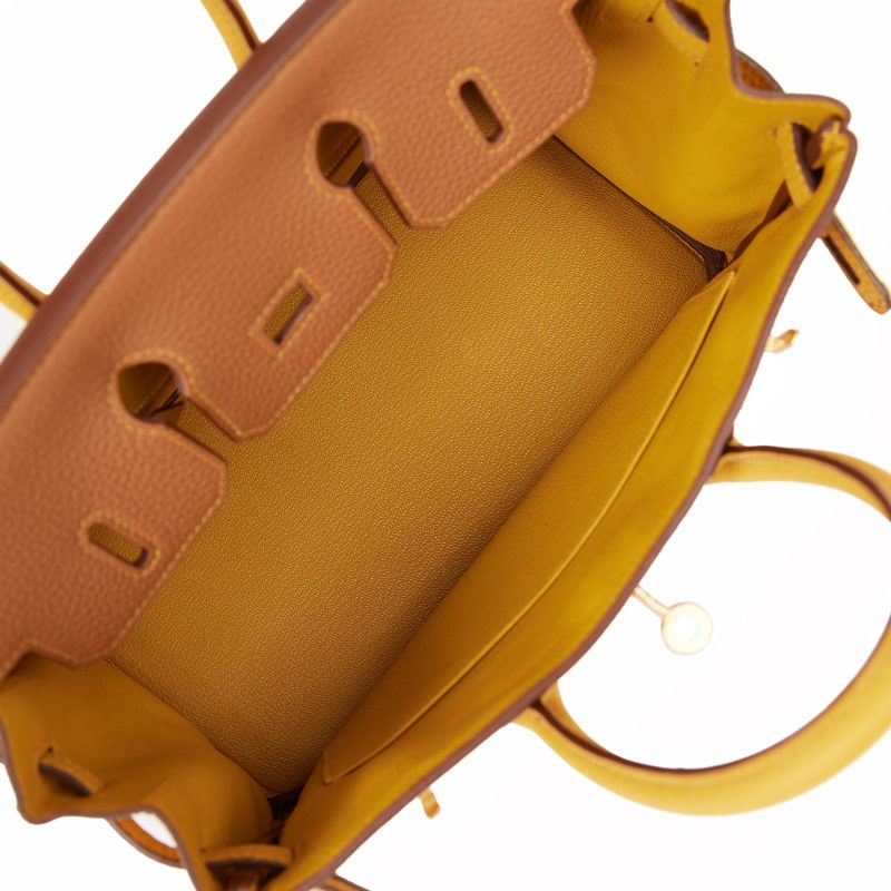 Hermes Special Order (HSS) Birkin 25 Gold and Jaune Ambre Togo Brushed Gold Hardware - Image 7