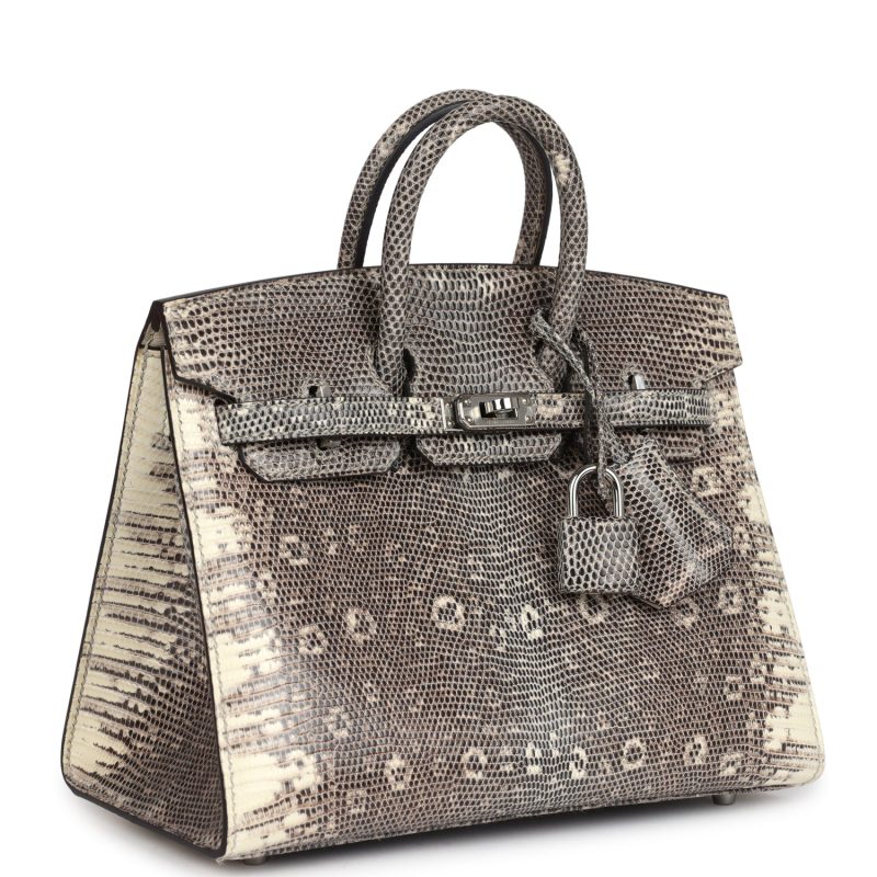 Hermes Birkin Sellier 20 Ombre Varanus Salvator Lizard Palladium Hardware - Image 2