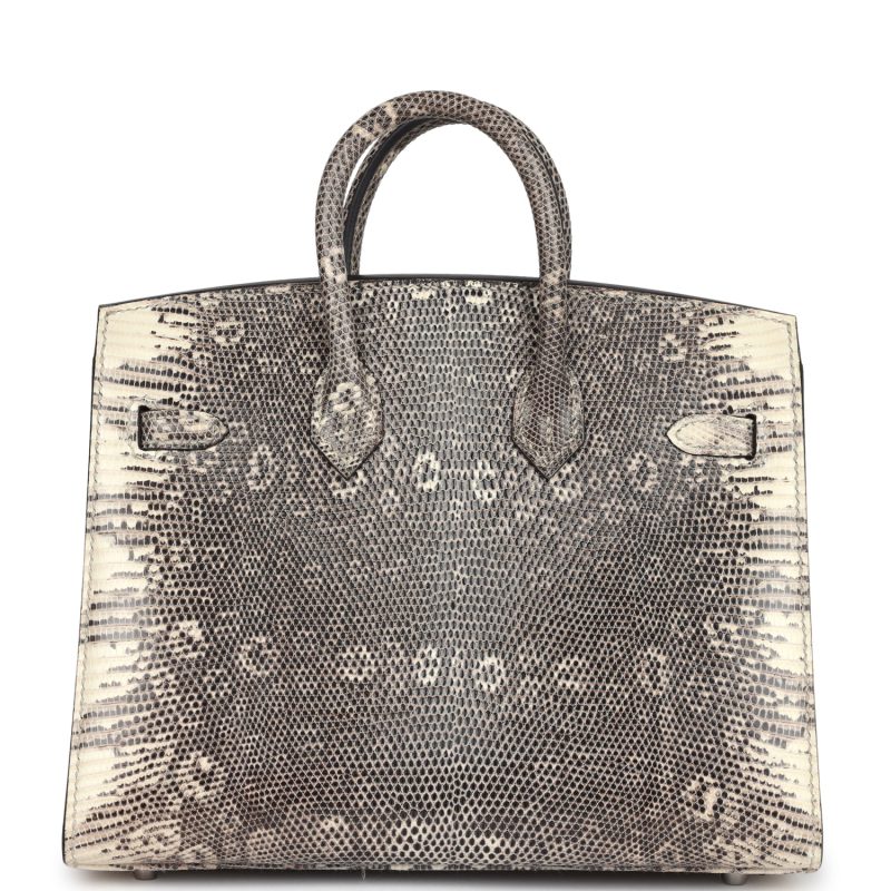 Hermes Birkin Sellier 20 Ombre Varanus Salvator Lizard Palladium Hardware - Image 4