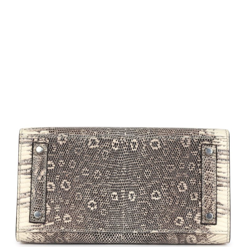 Hermes Birkin Sellier 20 Ombre Varanus Salvator Lizard Palladium Hardware - Image 5