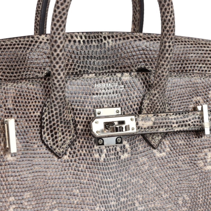 Hermes Birkin Sellier 20 Ombre Varanus Salvator Lizard Palladium Hardware - Image 6