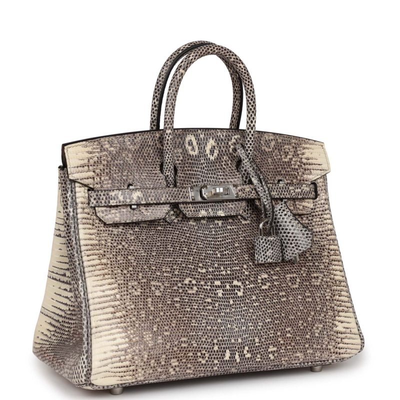 Hermes Birkin 25 Ombre Varanus Salvator Lizard Palladium Hardware - Image 2