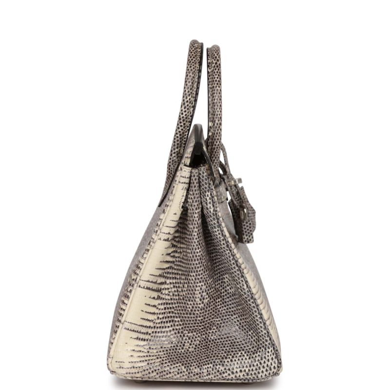 Hermes Birkin 25 Ombre Varanus Salvator Lizard Palladium Hardware - Image 3