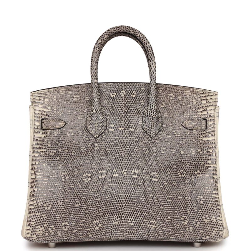 Hermes Birkin 25 Ombre Varanus Salvator Lizard Palladium Hardware - Image 4