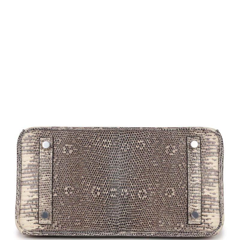 Hermes Birkin 25 Ombre Varanus Salvator Lizard Palladium Hardware - Image 5