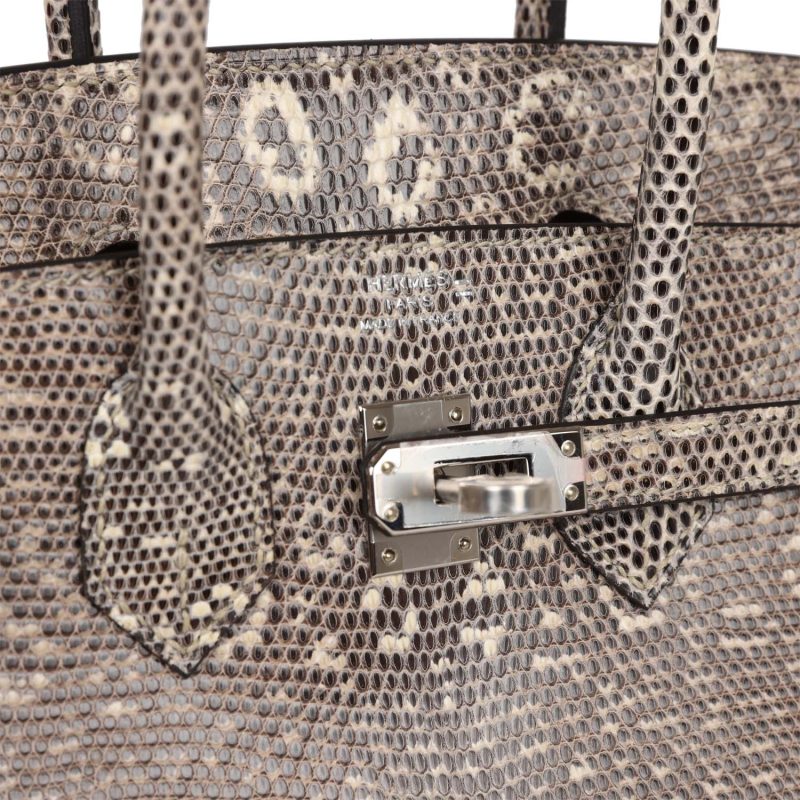 Hermes Birkin 25 Ombre Varanus Salvator Lizard Palladium Hardware - Image 6