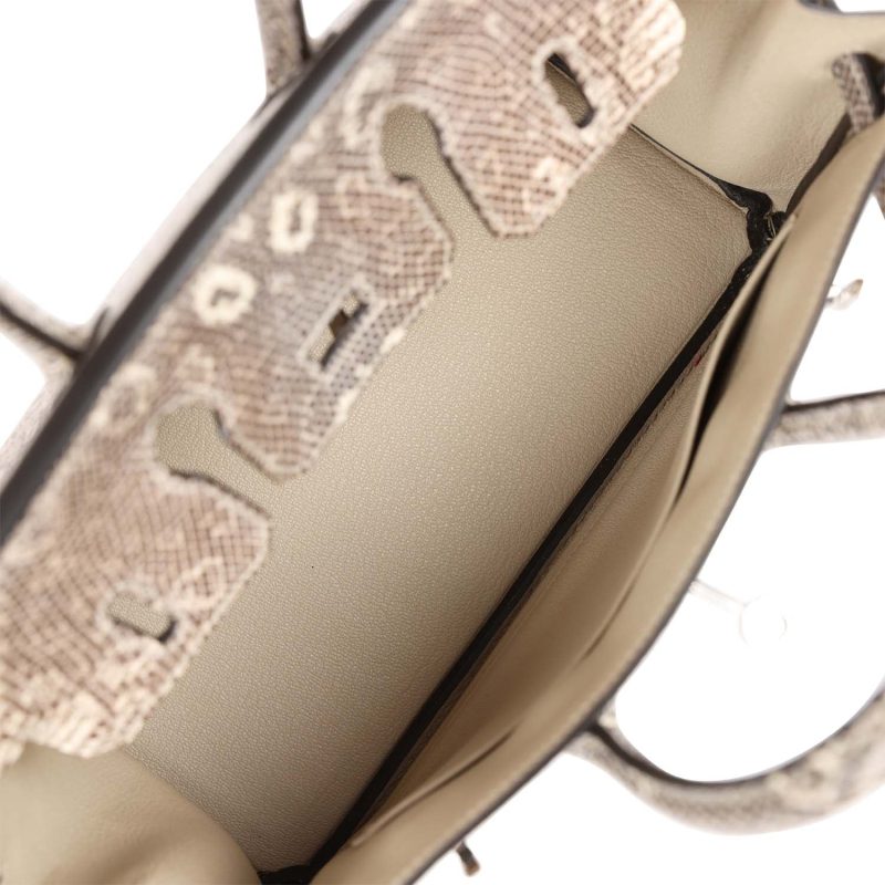 Hermes Birkin 25 Ombre Varanus Salvator Lizard Palladium Hardware - Image 7