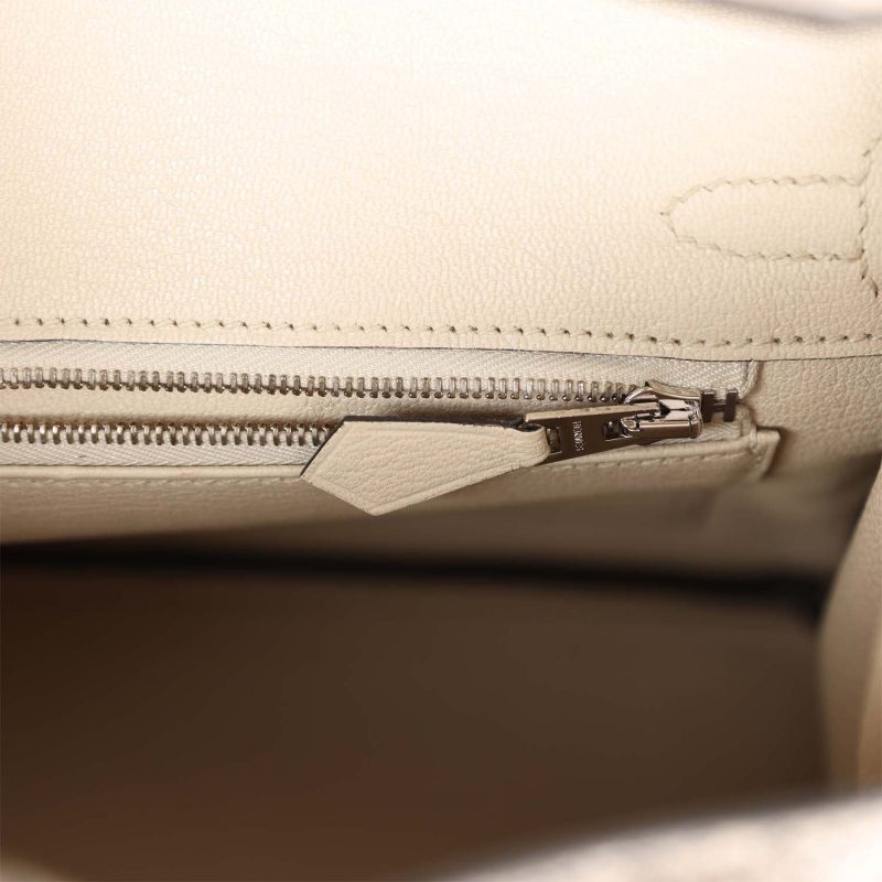 Hermes Birkin 25 Ombre Varanus Salvator Lizard Palladium Hardware - Image 8