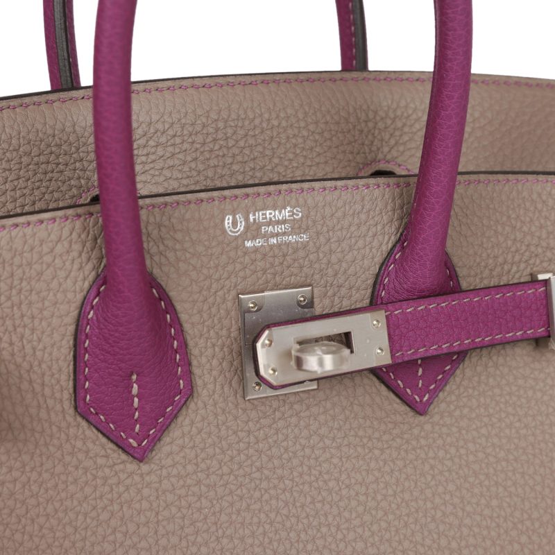 Hermes Special Order (HSS) Birkin 25 Gris Asphalte and Anenome Togo Brushed Palladium Hardware - Image 6