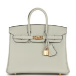 Hermes Birkin 25 Gris Neve Togo Gold Hardware
