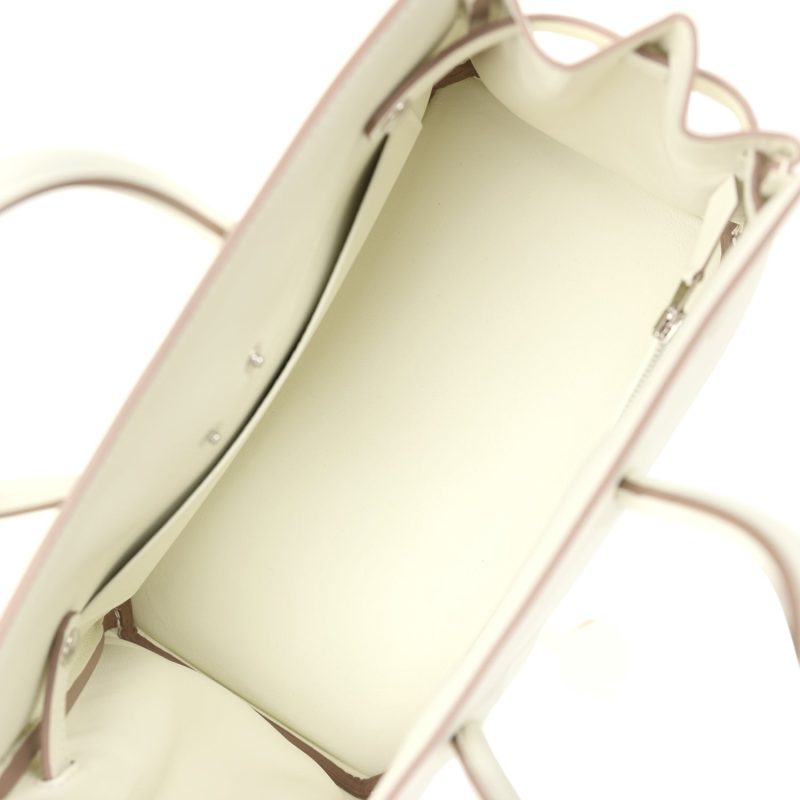 Hermes Birkin Shadow 25 Mushroom Swift Palladium Hardware - Image 6