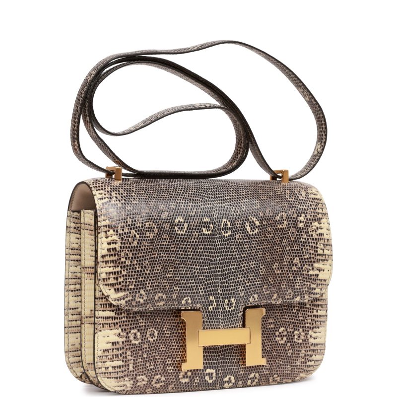Hermes Mini Constance 18 Ombre Lizard Varanus Salvator Gold Hardware - Image 2