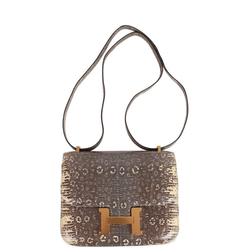 Hermes Mini Constance 18 Ombre Lizard Varanus Salvator Gold Hardware - Image 6