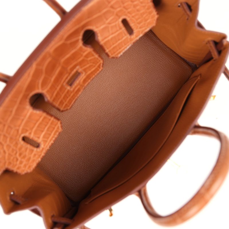 Hermes Birkin 25 Gold Matte Alligator Gold Hardware - Image 7