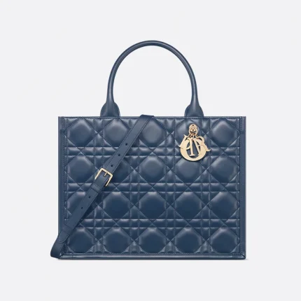 Dior Medium Dior Book Tote HandBags