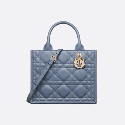 Dior Small Dior Book Tote HandBags