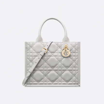 Dior Small Dior Book Tote HandBags